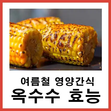 여름철-영양간식-옥수수-효능
