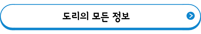 도리의 모든 정보