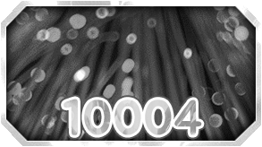 10004
