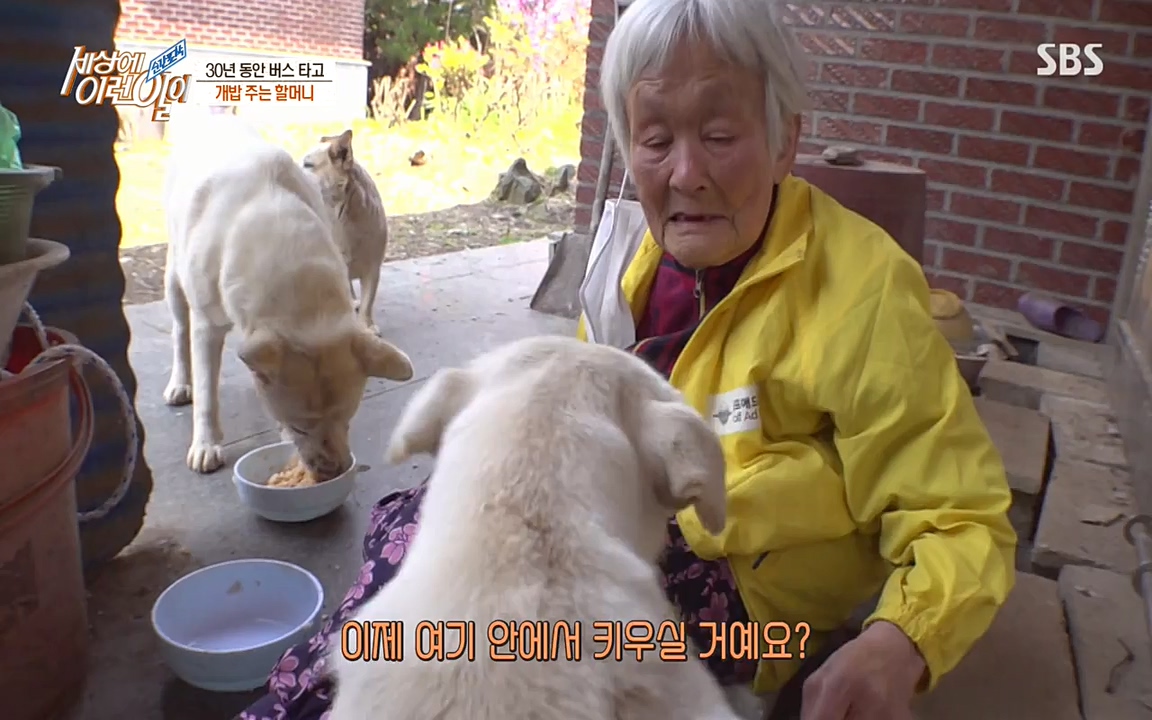 순간포착 세상에 이런일이.E1177.220427p-NEXT.mp4_20220427_183854.996.jpg