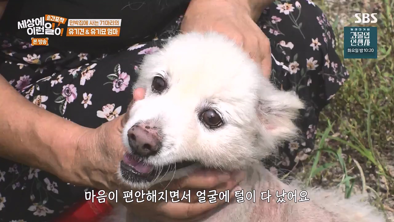 순간포착 세상에 이런일이.E1244.230903p-NEXT.mp4_20230903_173250.560.jpg
