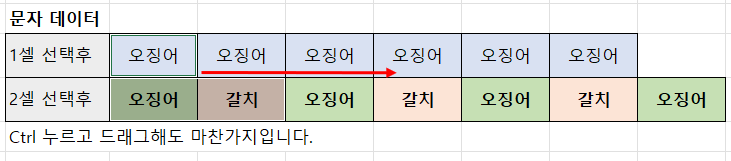 문자 데이터 채우기