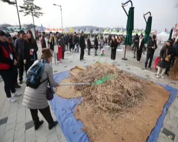 파주 장단콩축제_24