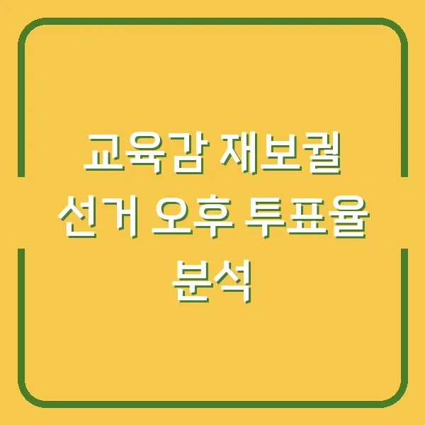 교육감 재보궐 선거 오후 투표율 분석