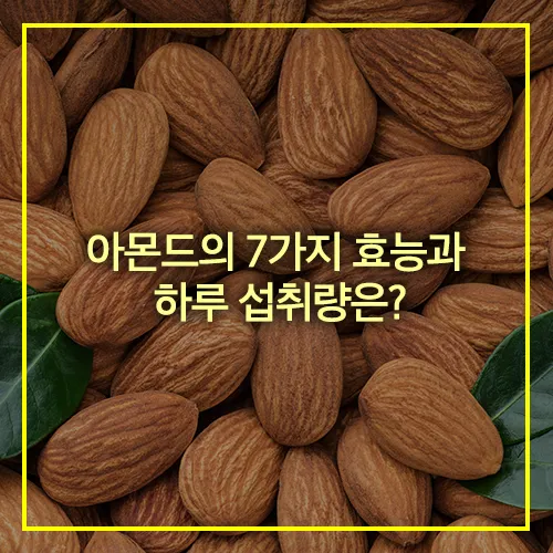 아몬드 효능 7가지 하루 섭취량