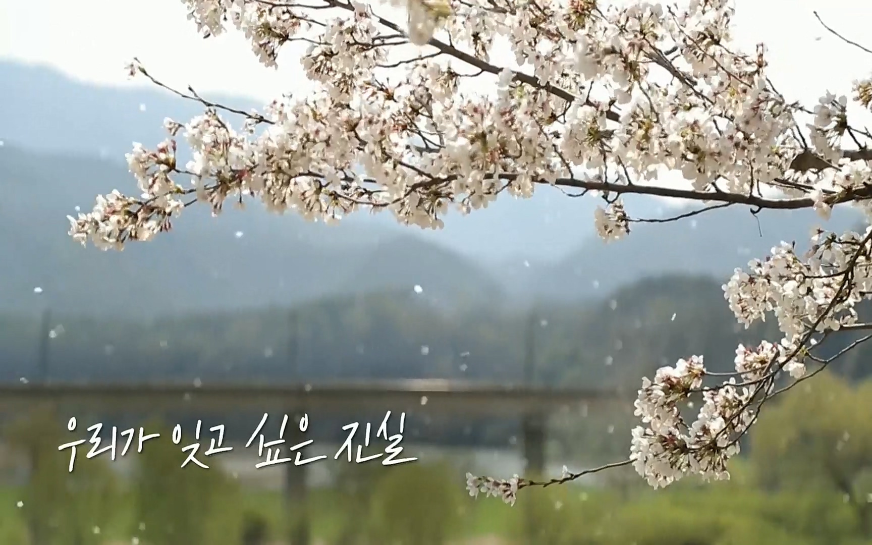 생로병사의 비밀.E820.220511p.H264-F1RST.mp4_20220512_185904.859.jpg
