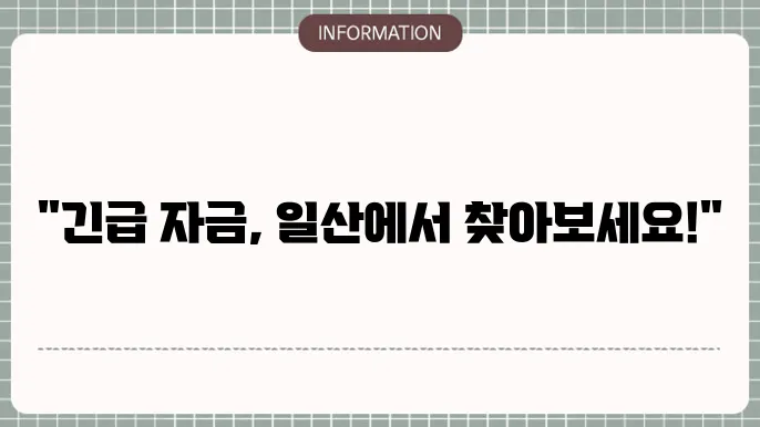 일산일수대출: 지역 긴급지원금