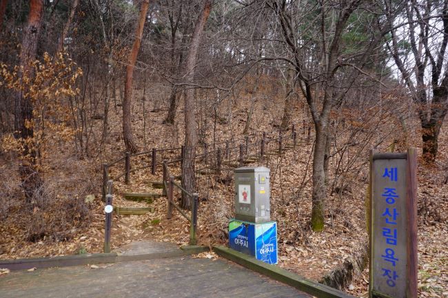 산림욕장 진입로&#44; 뒤에 산으로 올라가는 계단길&#44; 좌로 가는 대크 길&#44;