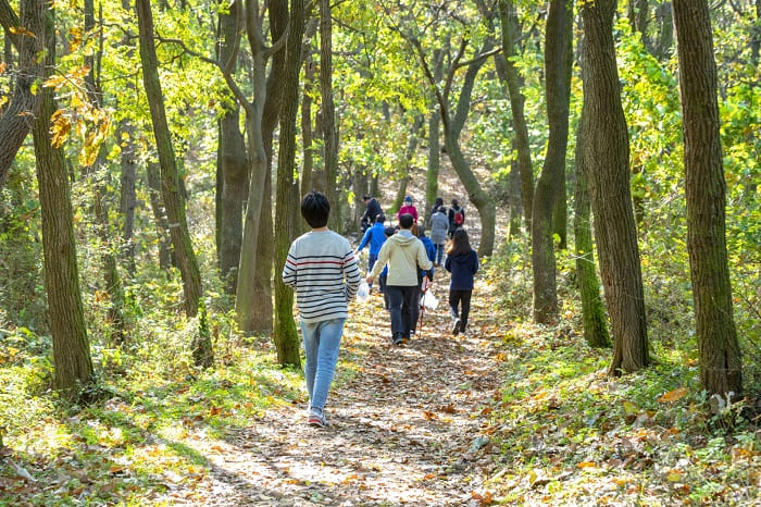 &quot;국민 성인 80% 가까이 한달에 한번 등산한다&quot; 산림청