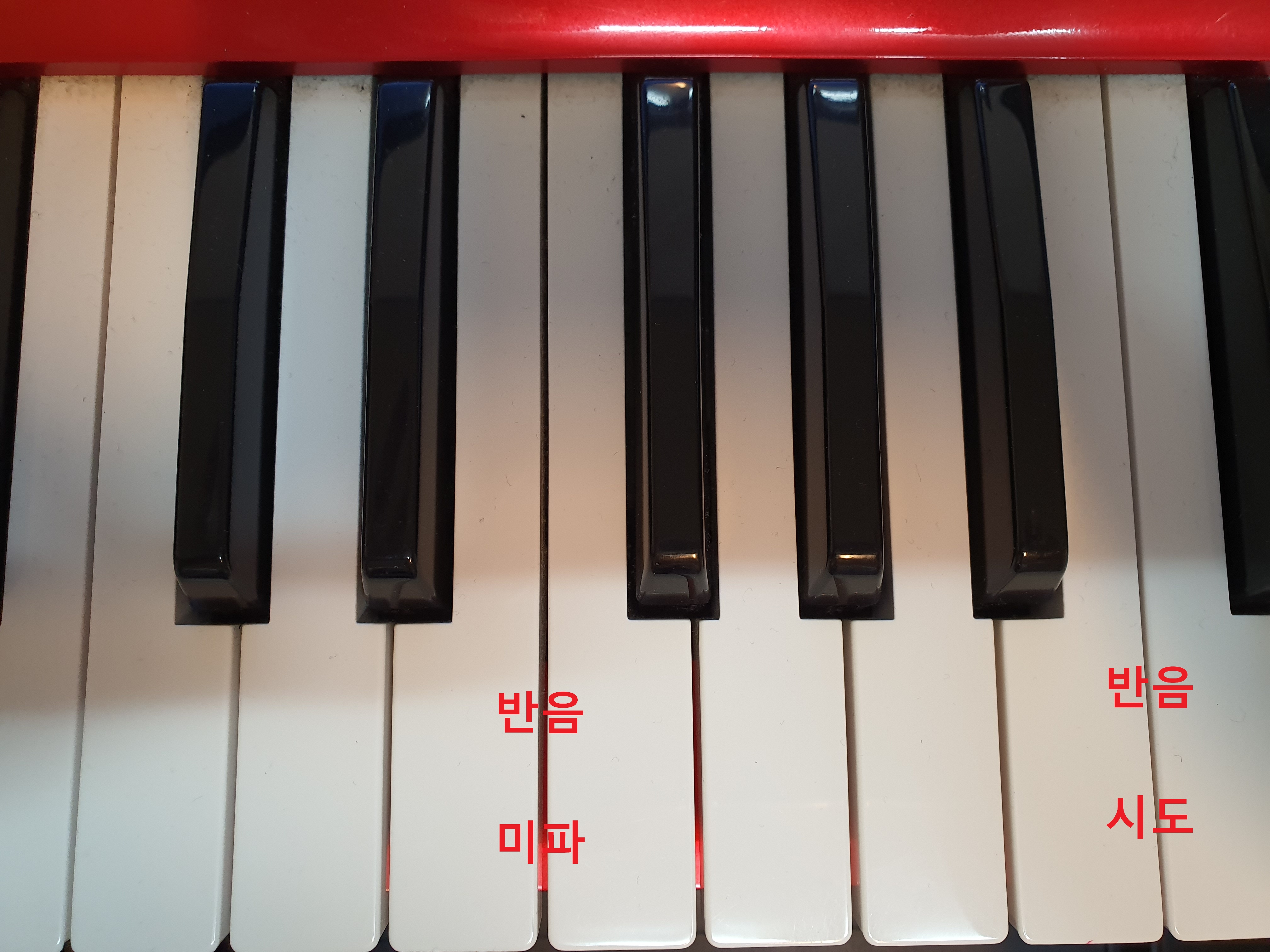  작곡 기본이론 조(key)와 스케일 (장조, Major)