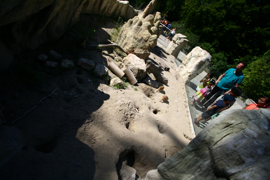 독일뮌헨-헬라브룬동물원-아이들이-좋아하던-수족관
