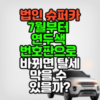  법인 슈퍼카 7월부터 연두색 번호판으로 바뀌면 탈세 막을 수 있을까?