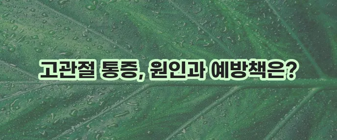 고관절 통증 원인과 예방 꼼꼼하게 알아봐야 합니다