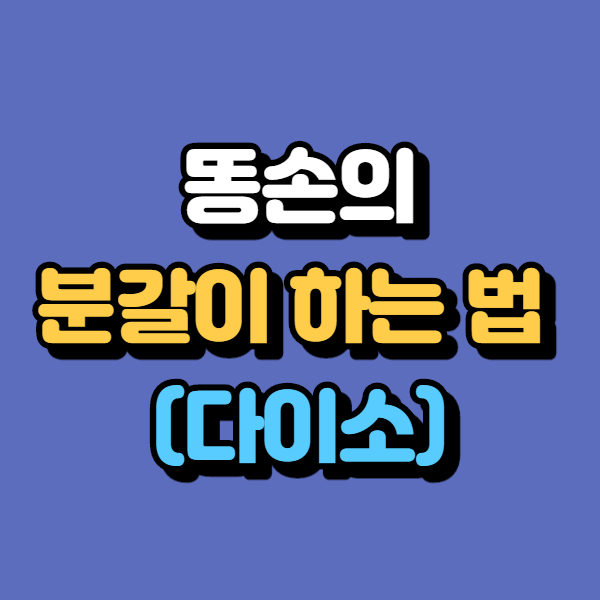  관엽식물 스웨디시 아이비 분갈이 삽목 하는법, 다이소 흙 화분