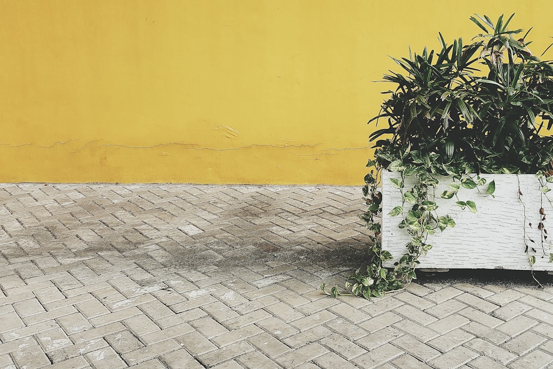 Planter