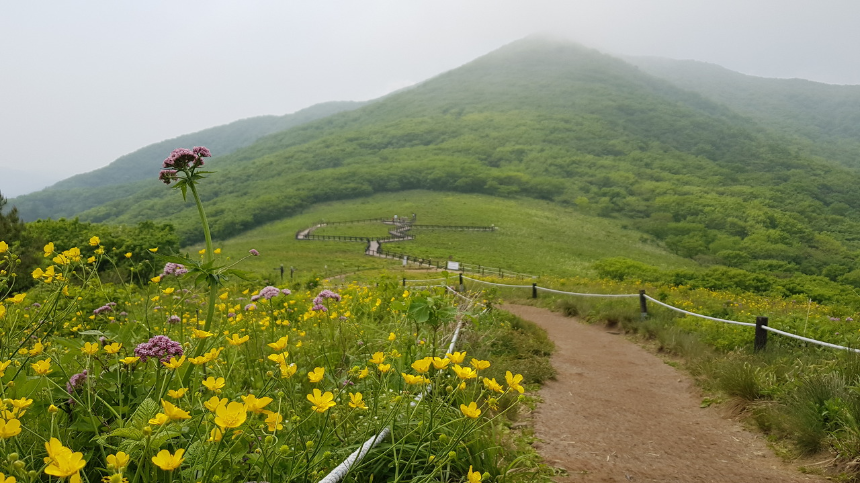 점봉산 곰배령