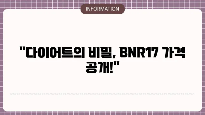 다이어트 모유 유산균 bnr17가격