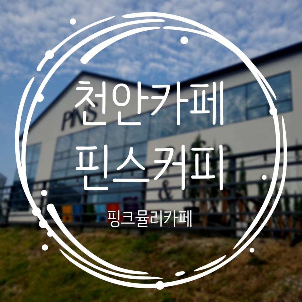  핑크뮬리보러 천안 핀스커피 다녀왔어요