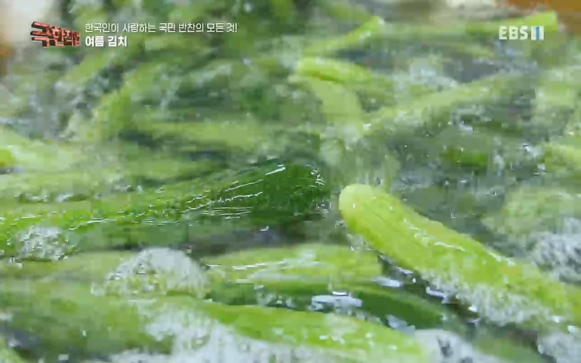 TV - 교육의 중심 EBS한국인이 사랑하는 국민 반찬의 모든 것!.mp4_20220925_171804.163.jpg