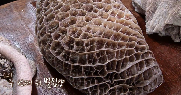 소의 4개 위: 양, 벌집양, 천엽, 막창의 세부적인 특징과 역할