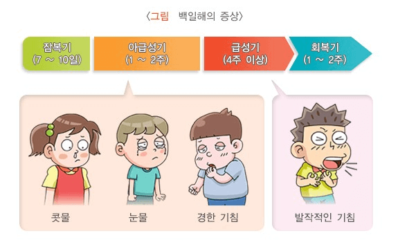 백일해 증상,검사하기,치료하기,예방하기