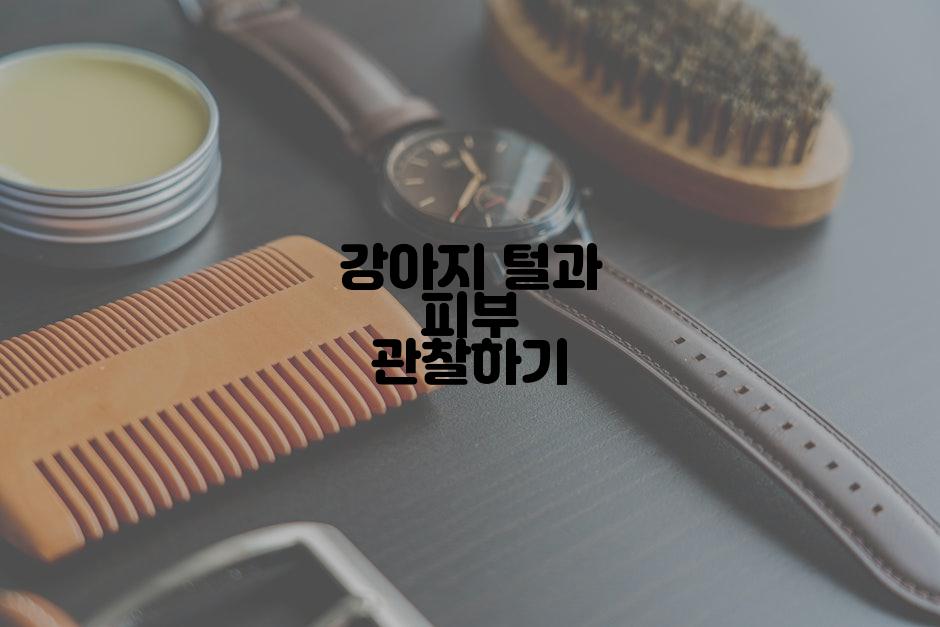 강아지 털과 피부 관찰하기