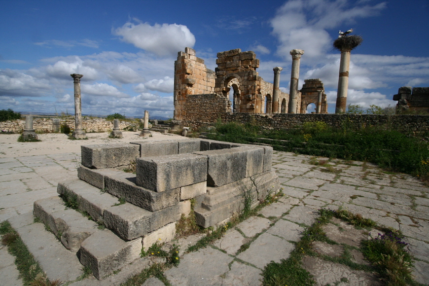 로마시대 기둥위에 자리잡은 두루미들