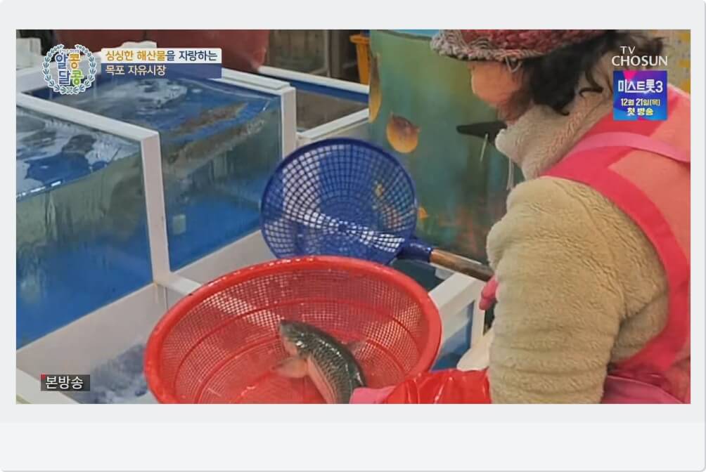 숭어가 제철