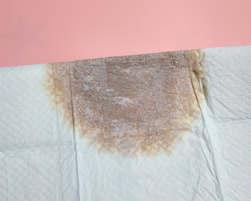 흡수력이 대박이야?이름에 맞는 달라 패드! 개 화장실 패드 12