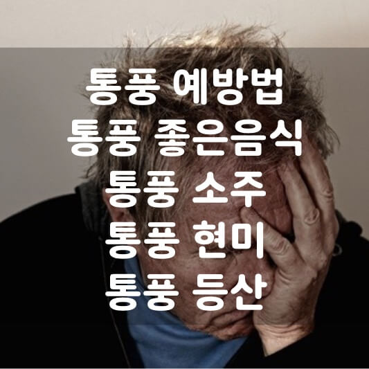  통풍 Q&A ; 통풍 발가락 통증, 통풍 예방법, 통풍 치료, 통풍 소주, 통풍 현미 등