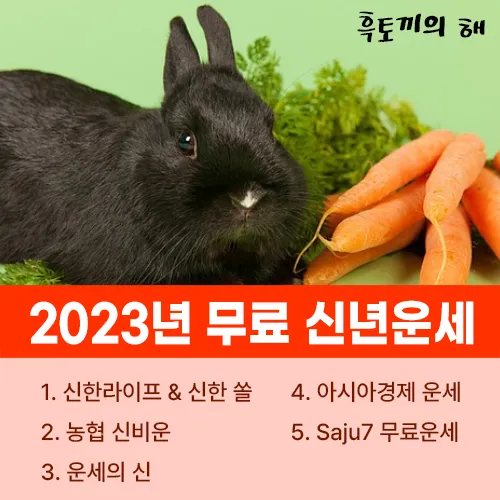 2023년 무료 신년운세