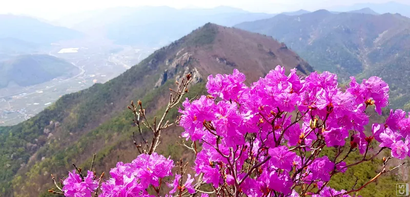 밀양 북암산 문바위 억산