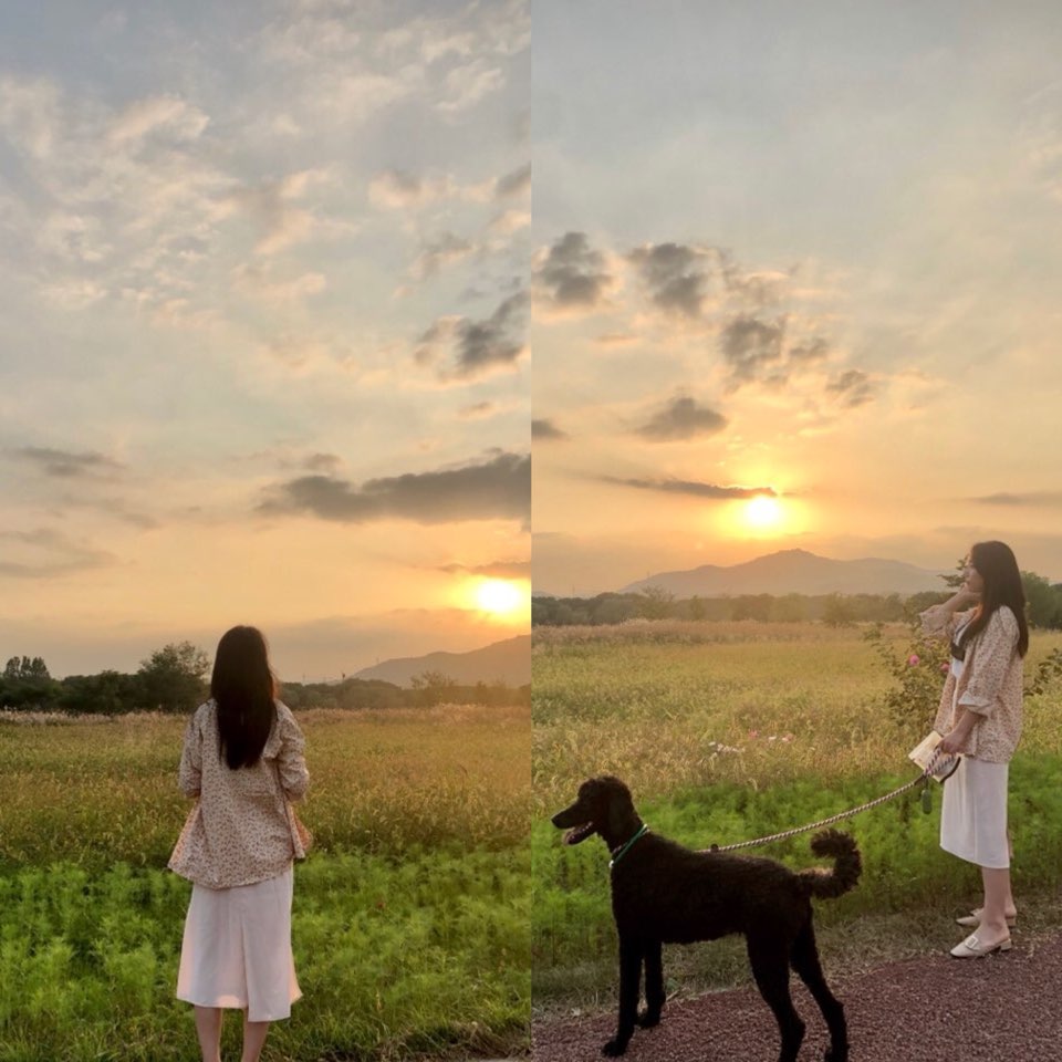  광주 황룡친수공원으로 산책가는 우리 강아지!