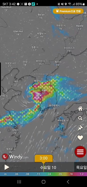 windy 앱 기상정보