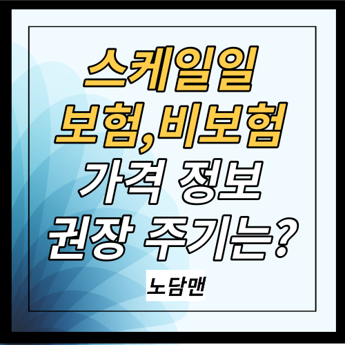 스케일링