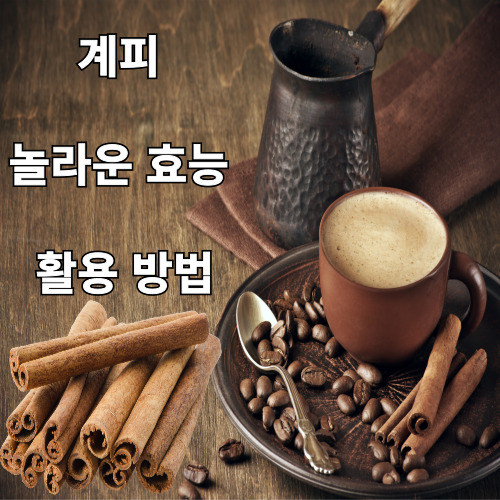 계피의 놀라운 효능과 활용 방법