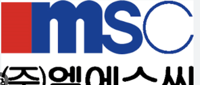  전문가도 얘기하지않는 엠에스씨 주가전망에 대하여