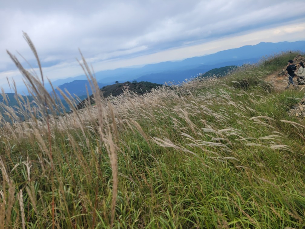합천 황매산 억새 축제