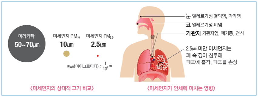 미세먼지의 건강에 영향
