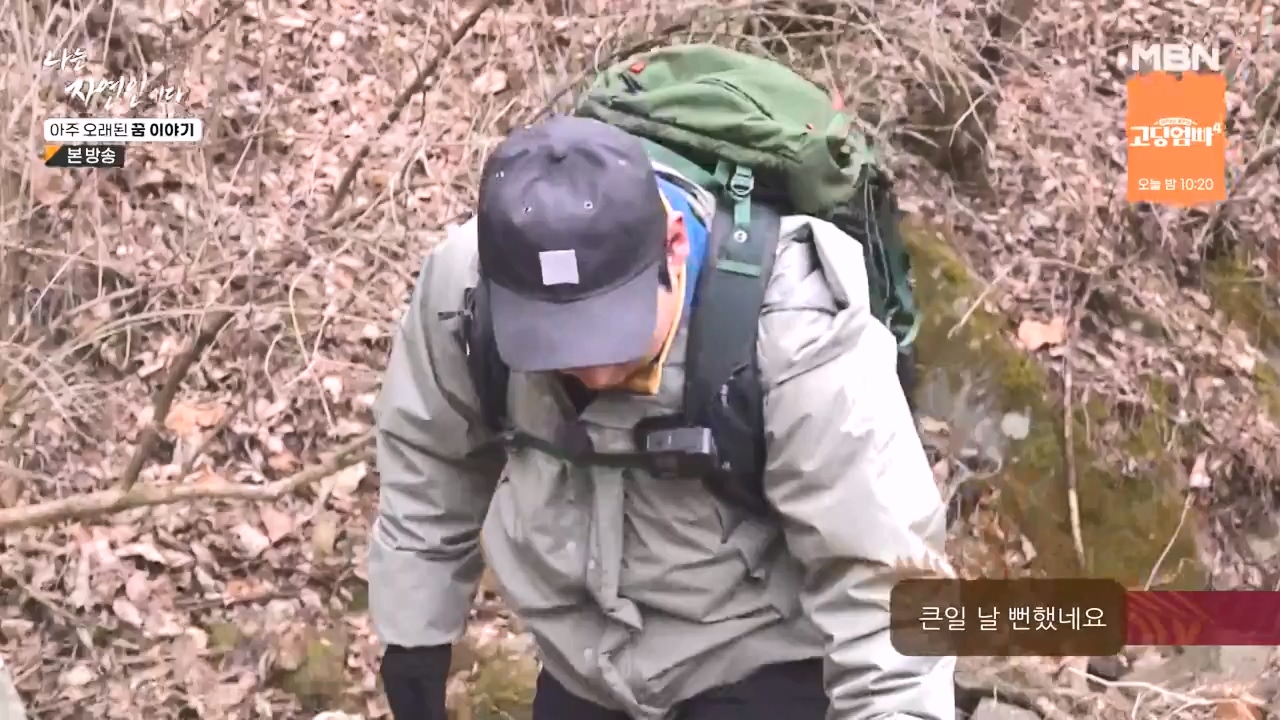 나는 자연인이다.E594.240222p-NEXT.mp4_20240222_195328.052.jpg