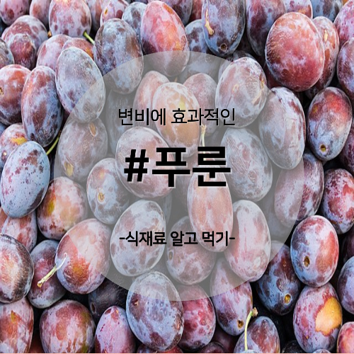  알고 먹기 8. #푸룬