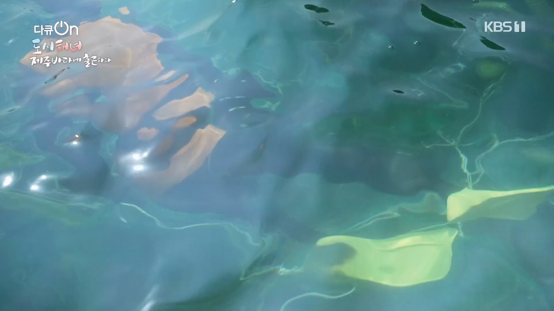 다큐 On.E197.230505p.H264-F1RST.mp4_20230507_133445.409.jpg