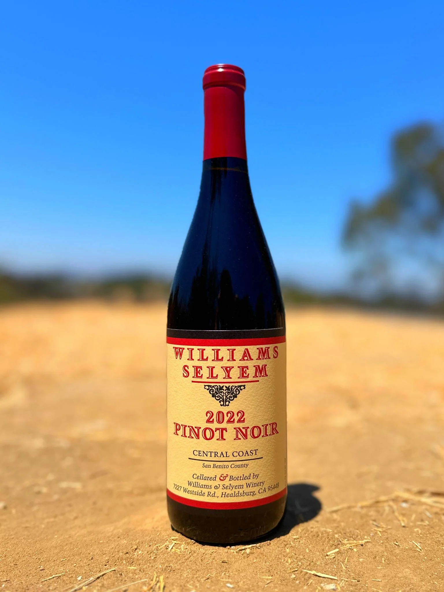 Williams Selyem Pinot Noir Russian River Valley