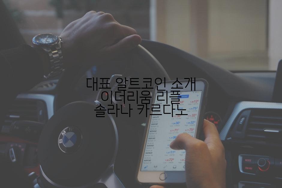 대표 알트코인 소개 이더리움 리플 솔라나 카르다노