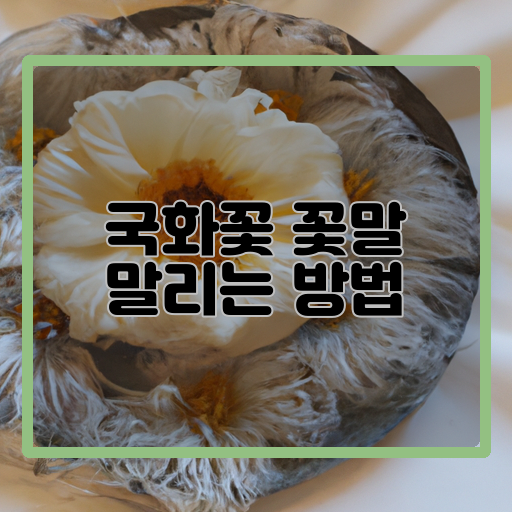  나를 지켜줄 국화꽃, 적절한 말리기 방법 알아보기