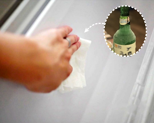 냉장고 문쪽 도어 선반 소주 청소 세균, 냉장고 문 고무패킹 청소, 생활 팁줌 매일꿀정보