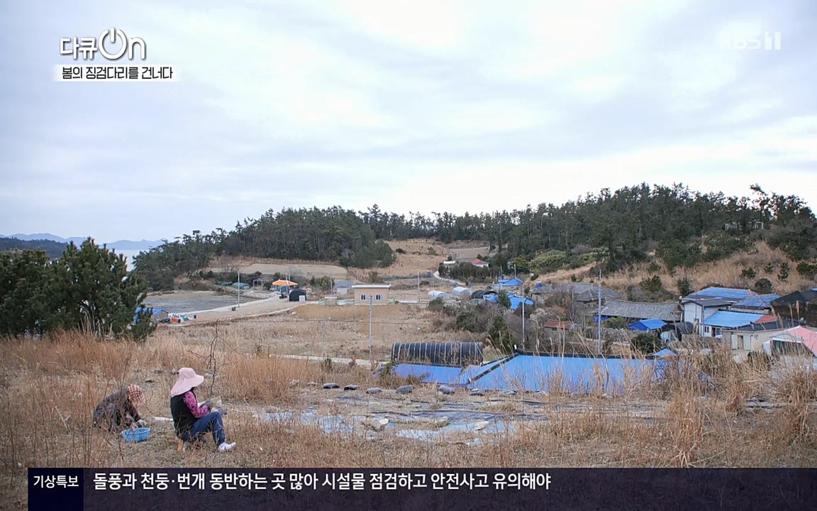 다큐 온.E132.220326p-NEXT.mp4_20220403_181717.948.jpg