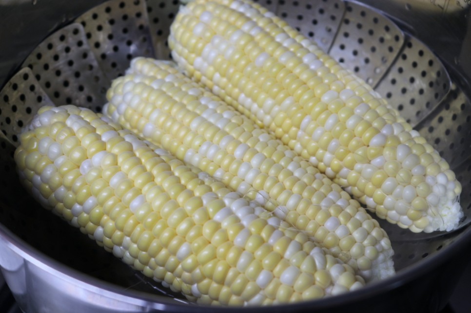 초당 옥수수 보관 냉동 냉장 2가지 방법 26