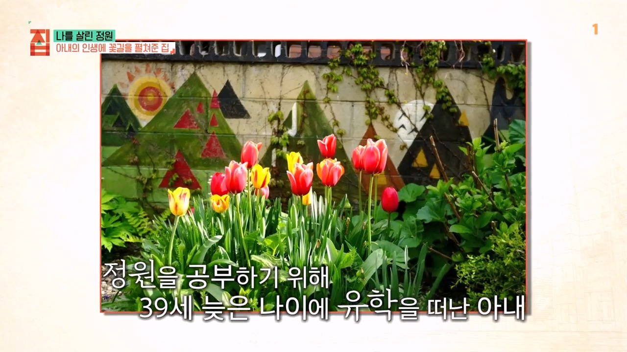 TV - 전 국민의 평생학교 EBS나를 살린 정원.mp4_20230814_210030.627.jpg