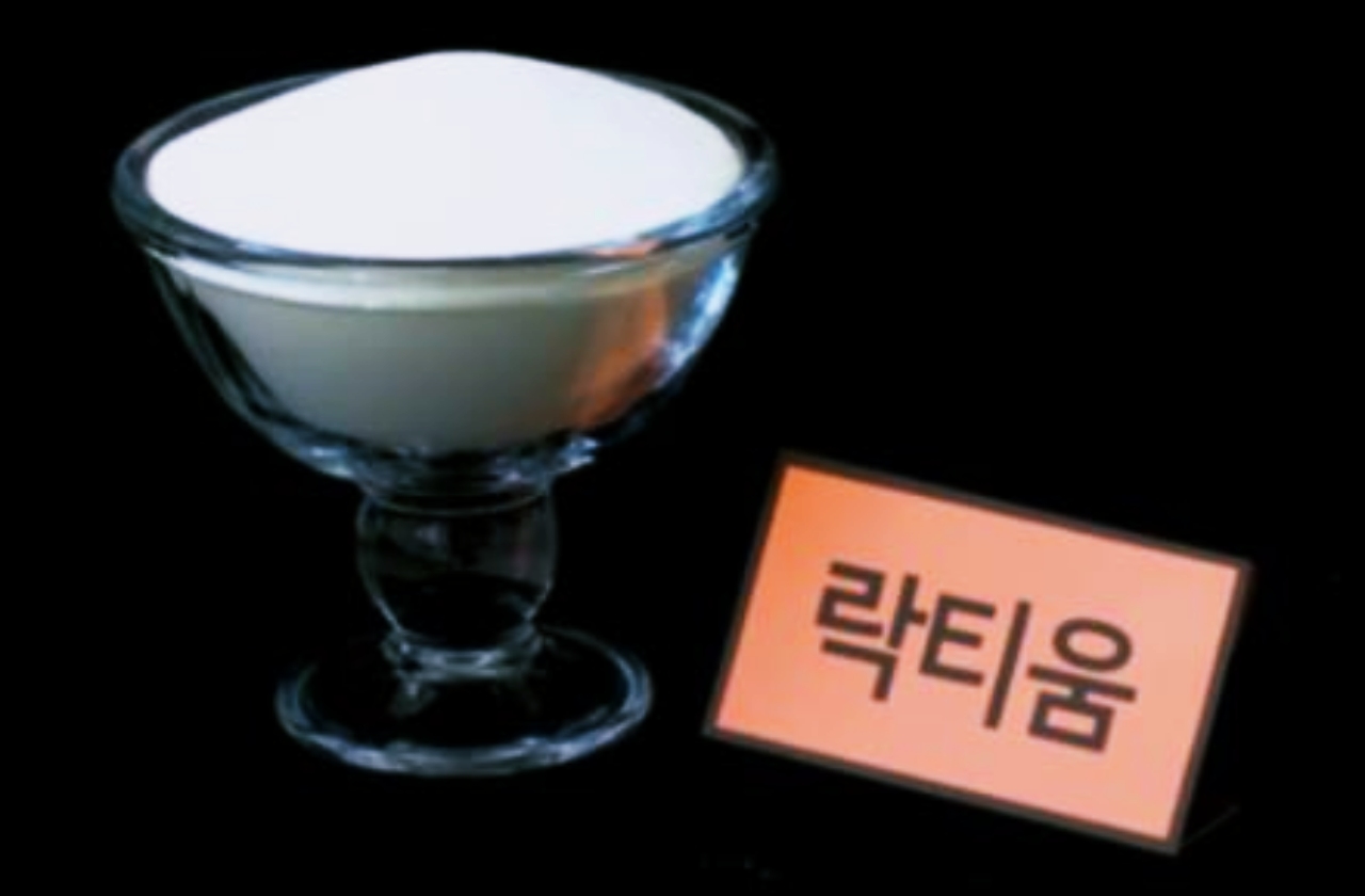  락티움 효능 부작용 분말 파는곳